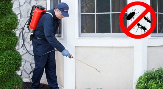 Fatsa Bit İlaçlama böcek ilaçlama ve haşere kontrolü — ilaclama-tr.com